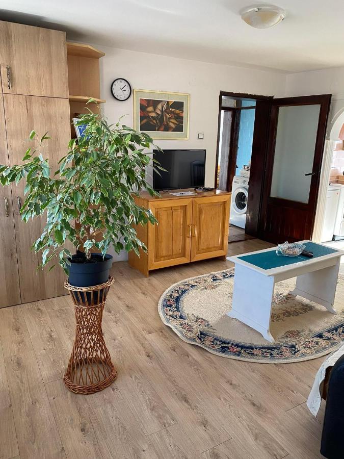 Micin Dom Apartment Pirot Exterior photo